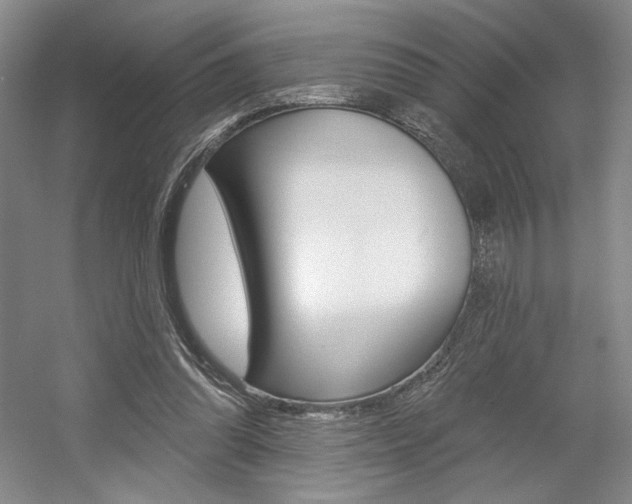 X0000056010302200508190901