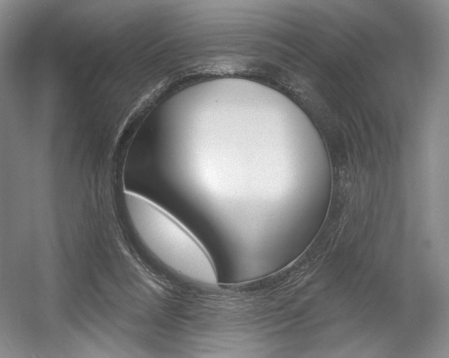 X0000056010304200508190901