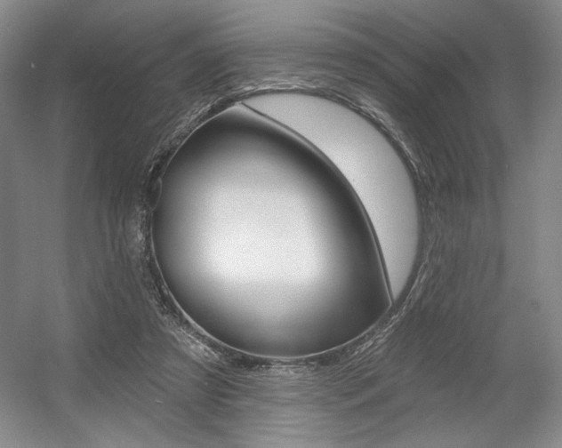 X0000056010305200508190901