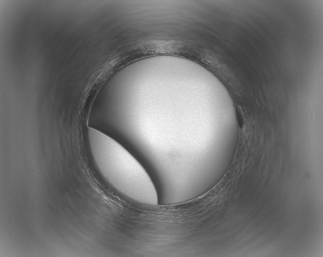 X0000056010306200508190901