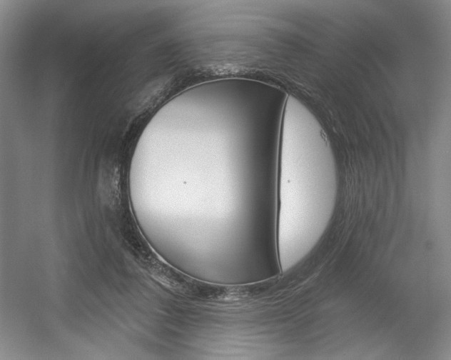 X0000056010308200508190901