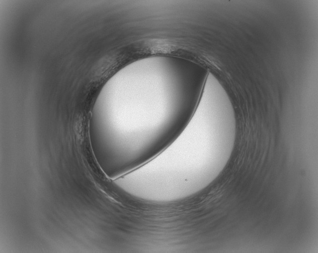 X0000056010311200508190901