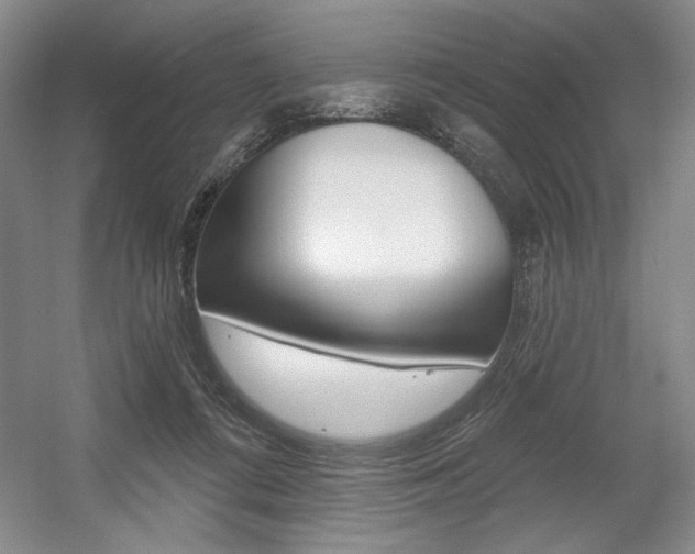 X0000056010312200508190901