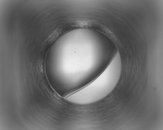 X0000056010313200508190901