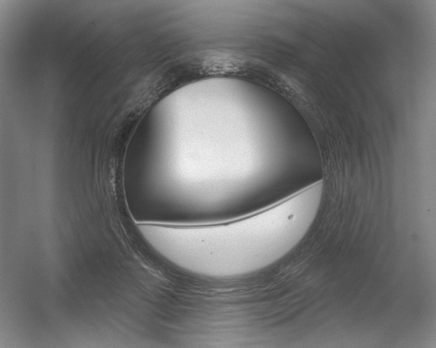 X0000056010315200508190901