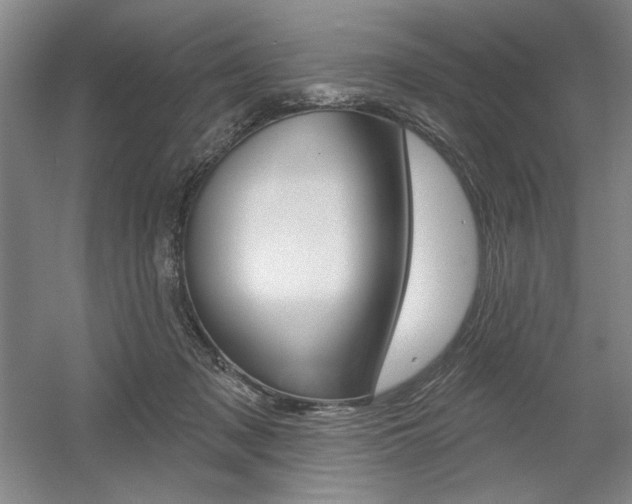 X0000056010317200508190901