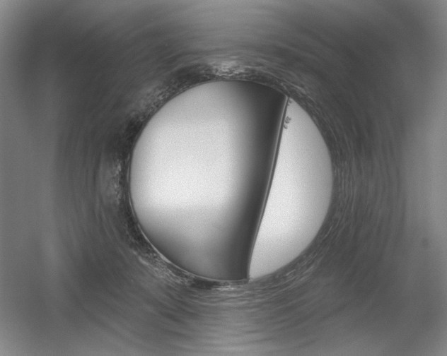 X0000056010319200508190901