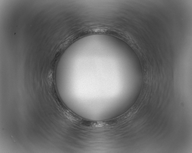 X0000056010321200508190901