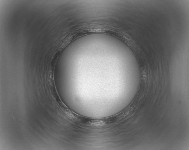 X0000056010322200508190901