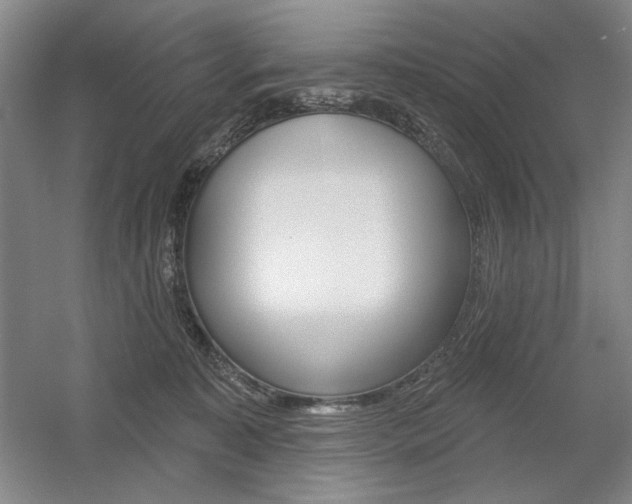 X0000056010323200508190901