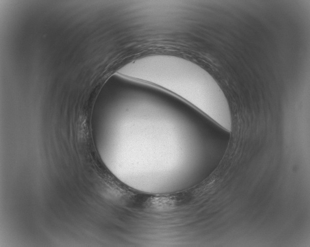 X0000056010327200508190900