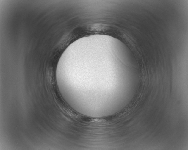 X0000056010328200508190900
