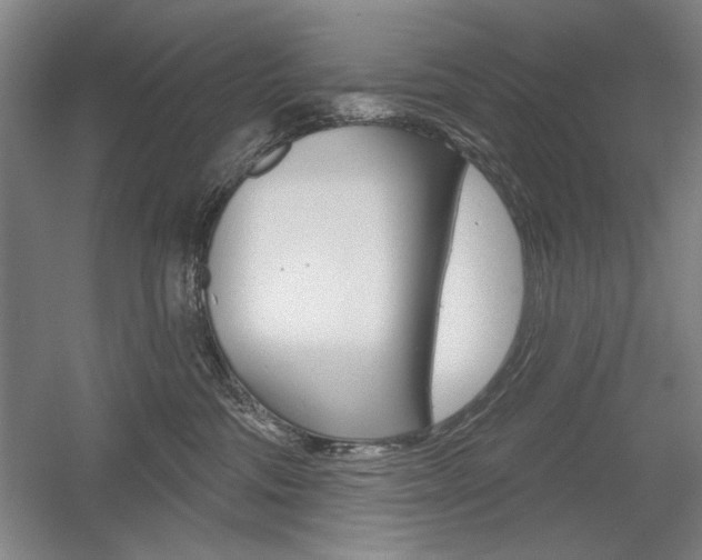 X0000056010330200508190900