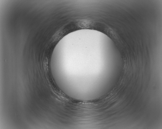 X0000056010332200508190900