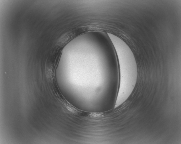 X0000056010333200508190900
