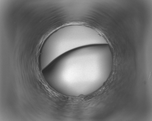X0000056010337200508190900