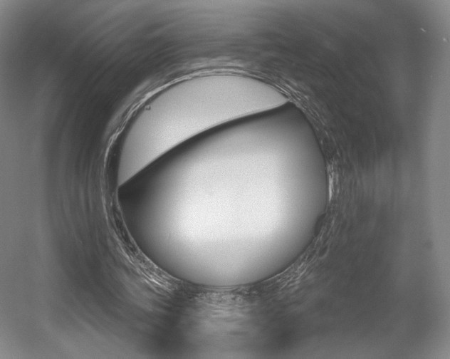 X0000056010339200508190900