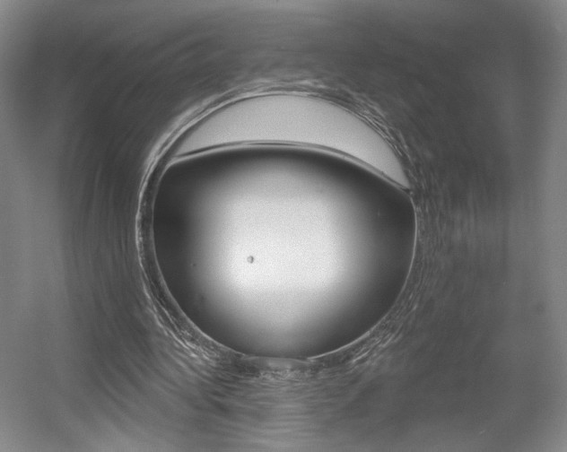 X0000056010340200508190900