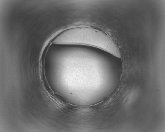 X0000056010342200508190900