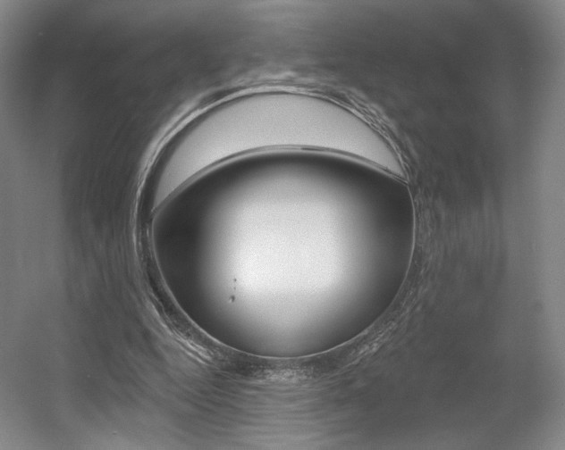X0000056010344200508190900