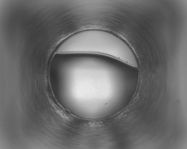 X0000056010345200508190900