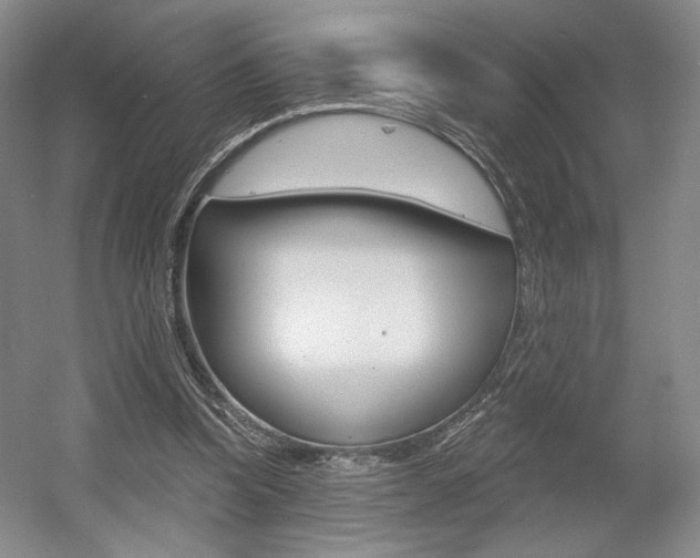 X0000056010346200508190900