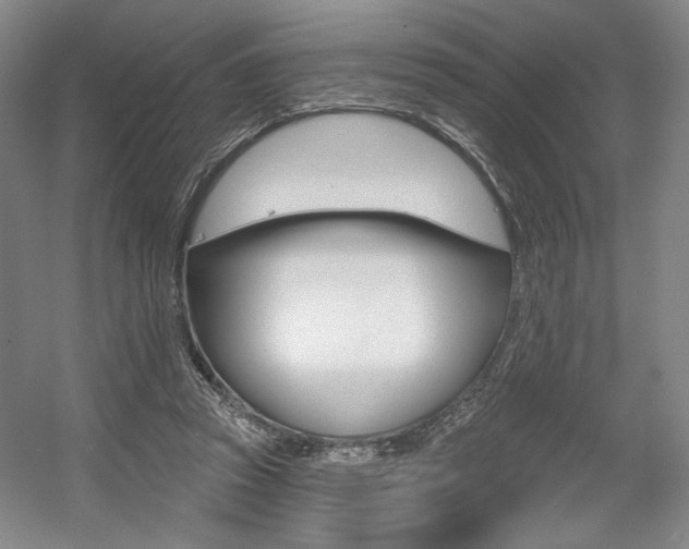 X0000056010353200508190900