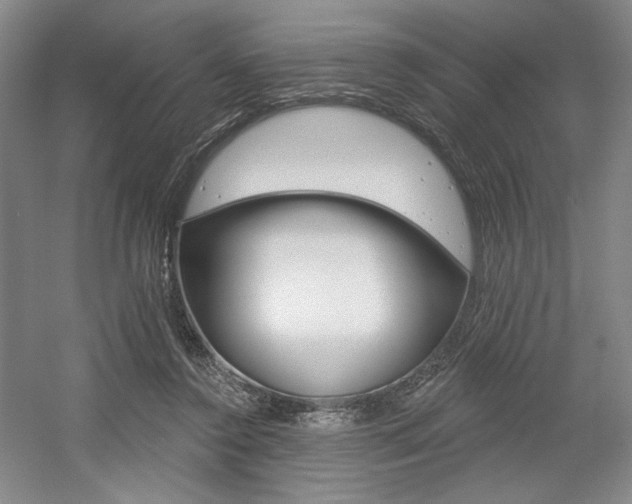 X0000056010356200508190900