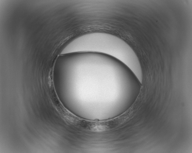 X0000056010360200508190900