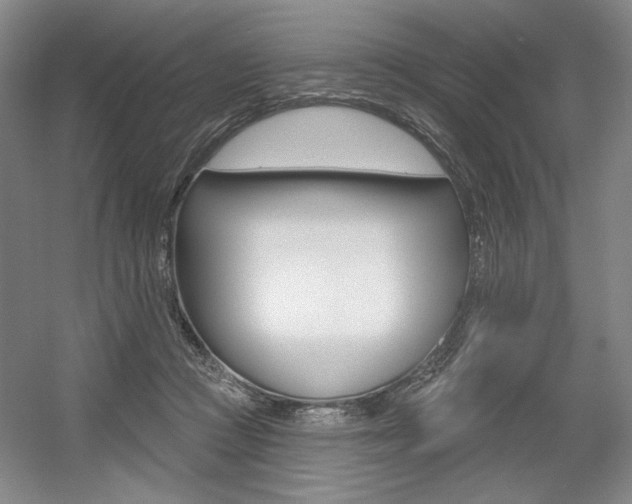 X0000056010361200508190900
