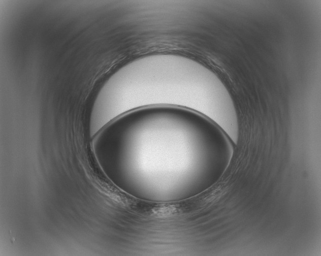 X0000056010362200508190900