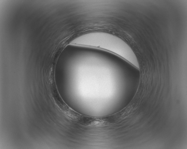 X0000056010364200508190900
