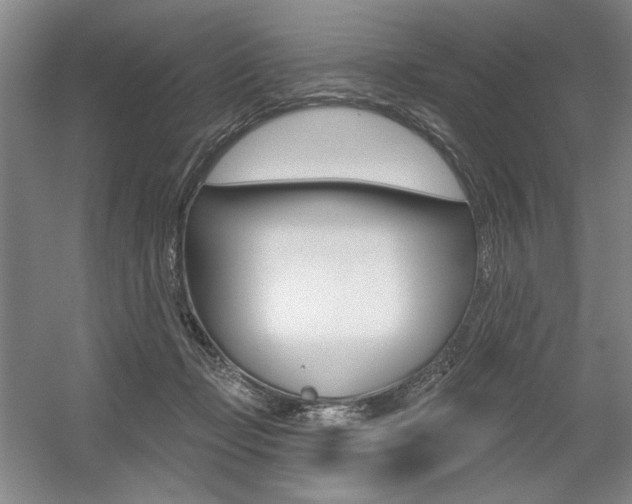 X0000056010365200508190900