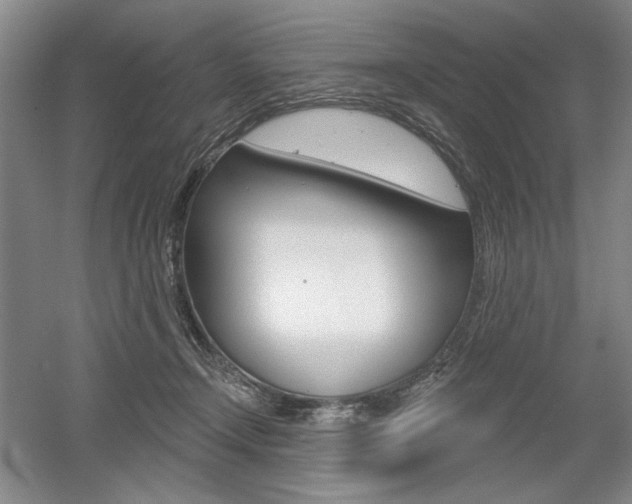 X0000056010366200508190900