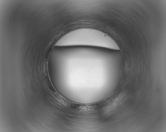 X0000056010367200508190900