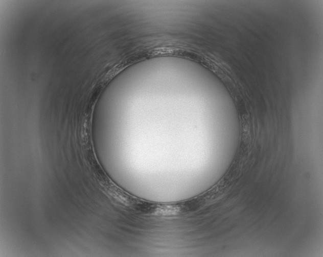X0000056010369200508190900