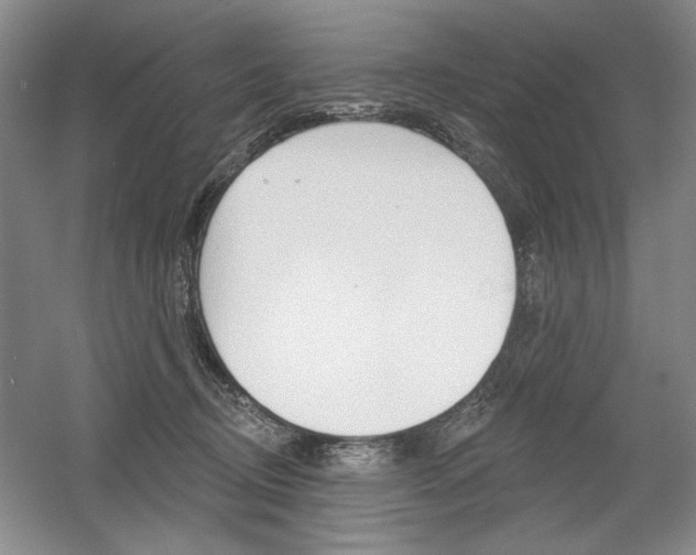 X0000056010370200508190900