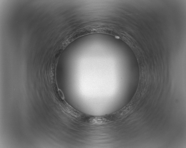 X0000056010372200508190900