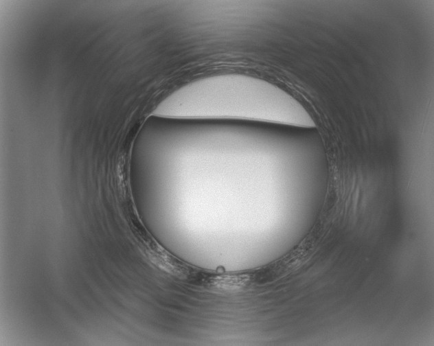 X0000056010373200508190900