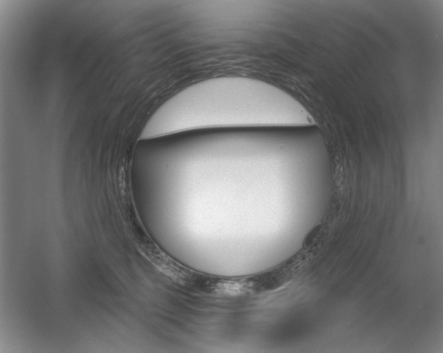 X0000056010375200508190900