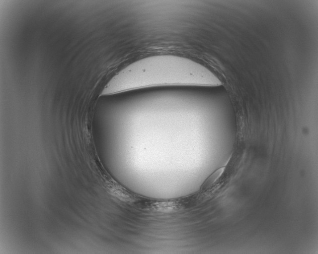 X0000056010377200508190900