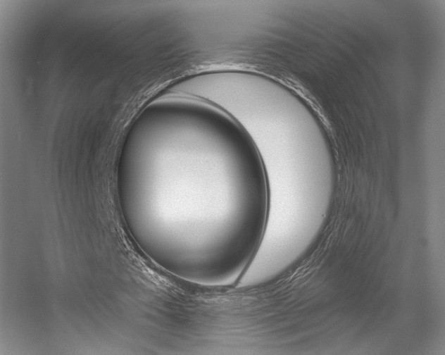 X0000056010385200508190900