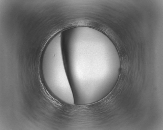 X0000056010386200508190859