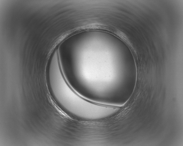 X0000056010389200508190859