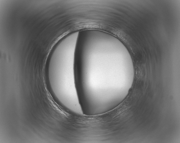 X0000056010390200508190859