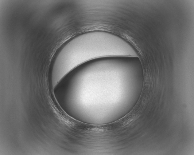 X0000056010394200508190859