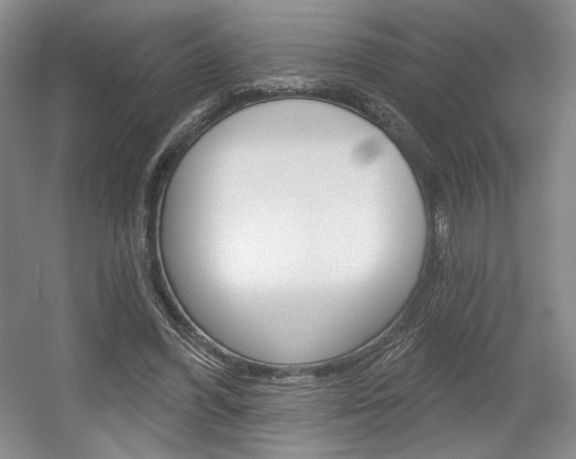 X0000056010396200508190859