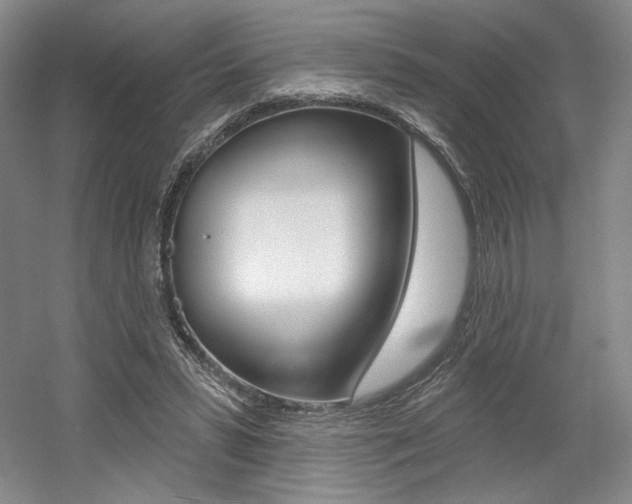 X0000056010399200508190859