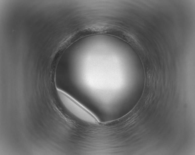 X0000056010404200508190859