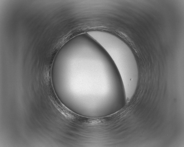 X0000056010405200508190859